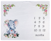 elephant Monthly Blanket