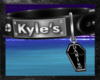 Kyle's Collar Darian