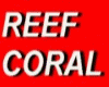 REEF CORAL PURPLE