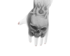 hand mão tattoo