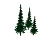 Tree Pines