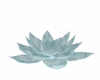 ice lotus 