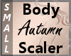Body Scaler Autumn S