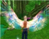 Multicolour unisex wings