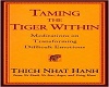 {Z} Taming the Tiger