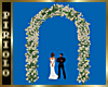 ANI Wedding Arch
