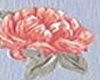 petal