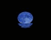 blue moon, animation.