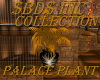 $BD$ Palace Plant