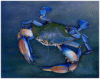 Mystical Blue Crab