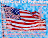 Freedom Ani't Cheap