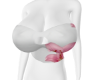 𝓚 | Floryn Top H 1/3