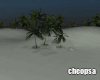 C* Beach