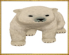 ani polar bear cub