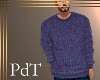 PdT Blue Knit Sweater