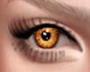 [CY] Light Brown Eyes