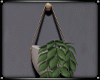 ⛧ Hanging Plant