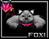 [FL] Foxi Cat Rug