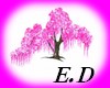 E.D TREE PINK