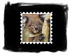 Koala Sticker2