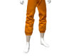 [PIT] Orange Shorts