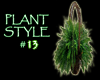 (IKY2) PLANT STYLE #13