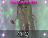 [CCQ]NL-Photo Filter V4