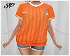 Maillot Cote d'Ivoire