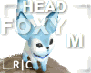 R|C Foxy Blue Head M