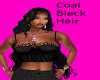 Coal Black Hair