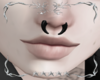 ✧･ﾟSEPTUM