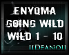 Enyqma - Going Wild PT1