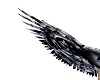 Black  Wings