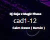 Dj Goja - Calm Down