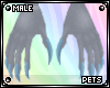 [Pets] Bini | claws v2 M