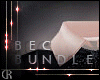 [RC]BEC BUNDLE
