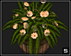 Flower Barrel  -1-