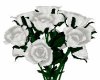 JR Elegant White Roses