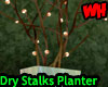 Dry Stalks Planter