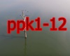 PPK - ResuRection1