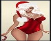Christmas Sexy Santa
