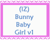 Bunny Baby Girl v1