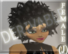 (J)DERIVABLE BRIANNA