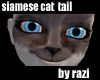 Siamese Cat Tail
