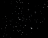 |P| Black Room + Stars