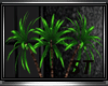 ST:R.Touch:Palm Trees 