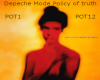 Depeche Mode, Pol Truth