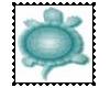 Turtle Stamp 6
