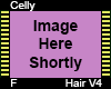 Celly Hair F V4
