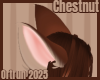 Chestnut Ears 2